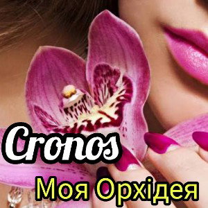Cronos - Моя Орхідея 2025