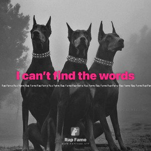 I can’t find the words