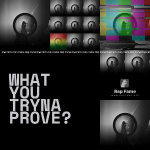 what you tryna prove?