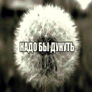 Бэд трип (Сниппет) 
