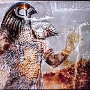 🧘🏾Envizion in👁️