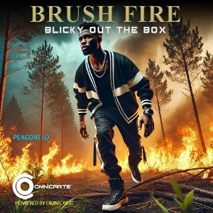Brush Fire🔥🔥🔥 _Blicky out the box Vibe_  Dec 31_ 2024_ 1212AM