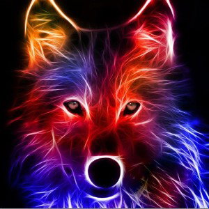 Alpha wolf 