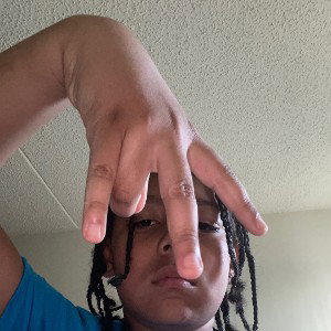 Big Fat David (school bully diss track)