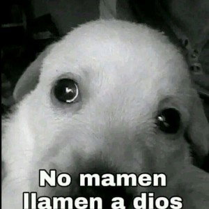 Free solo pa vacilar