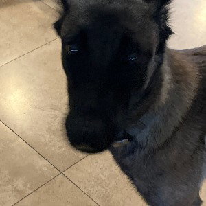 you break in
