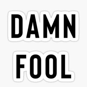DAMN FOOL‼️