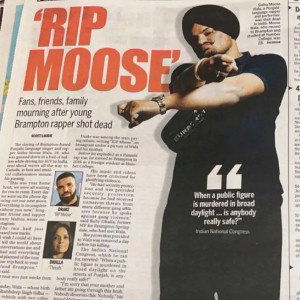 #Moose Leval ⚠️ 