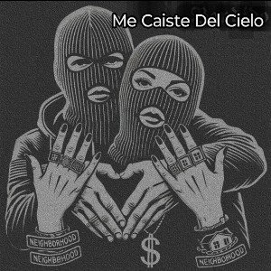 Me Caiste Del Cielo 