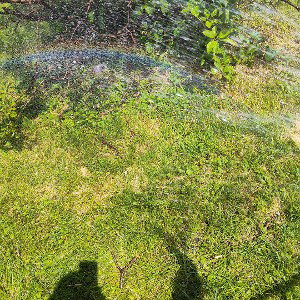 rainbow counciuness 🧘🏾‍♂️🧘🏿‍♂️🌞