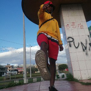 Malianteo Proyecto Fredii Torres