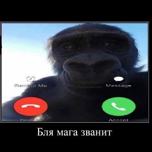 без слез..