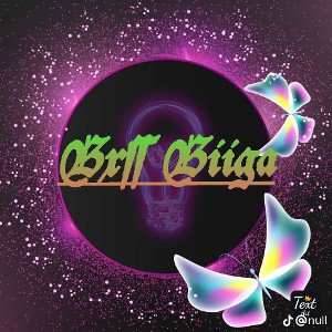 bxssbiiga officiel _hbd