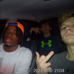 backofthewhip