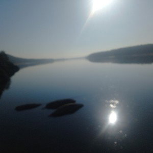 tvari