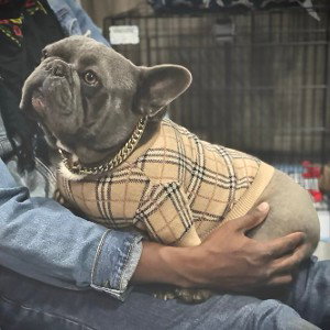 PuroAmorKennels - Ghost of Pun