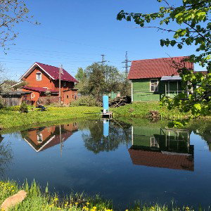 кYст.  Маринада
