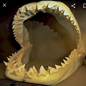 #Jaws #revisited #TopShelfProductions