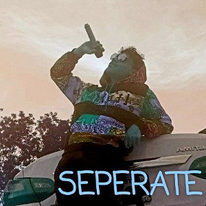 seperate