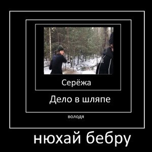 нюхай бебру 