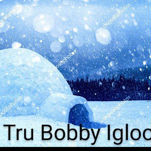 Igloo TruBobby xPolo