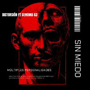 DISTORSIÓN 