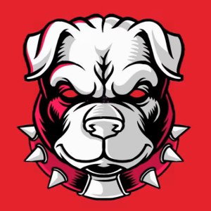 Bull Dawg