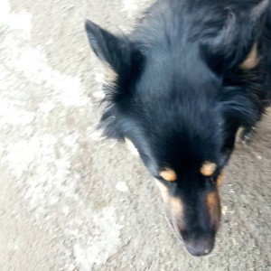 я свалил всем пока