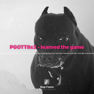 PGOTTIIx2 - learned the game 