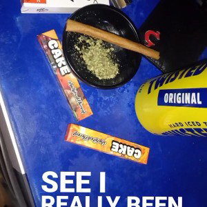 plug nyc