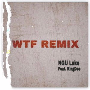 WTF Remix NGU feat KinGDee