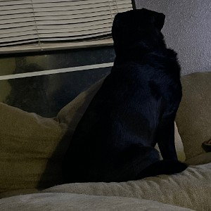 Life is hard