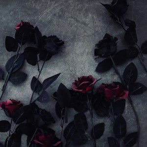 Black Roses