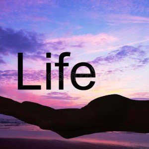 Take Your Life TYL (snippet)