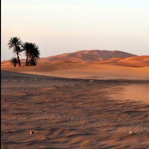 Desert 