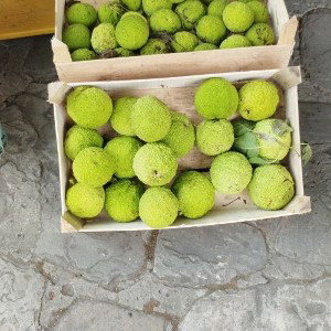 малая лил баб витенька