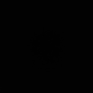 NBNG - حياة