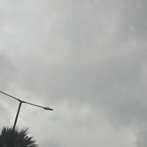 high freestyle