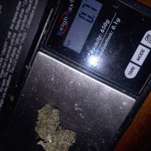 Loud on Sunday