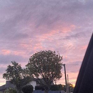 good day