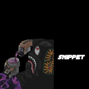 snippet 🤫