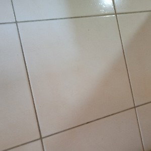 Shadow 