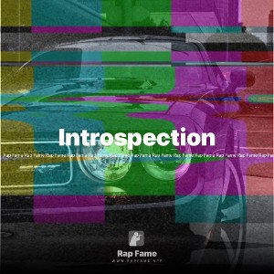 Introspection 