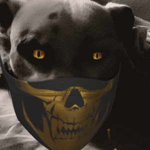 TOTI : J’raconte ou je dit !!! 