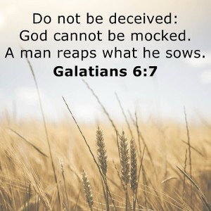 Reap What You Sow