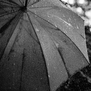RAINY DAYZ 2024