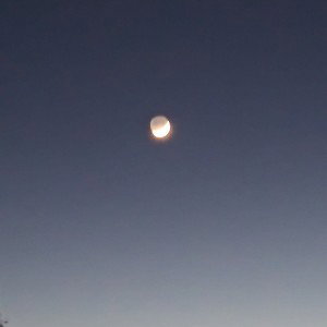 moonlight freestyle