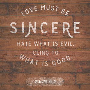 Evol evil from Fake & LIVE LOVE - Freestyle