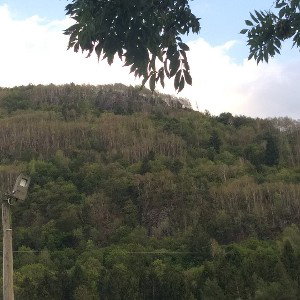 DAZIO MONTAIN