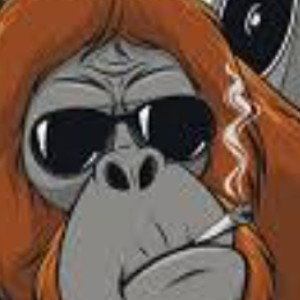Orangutan